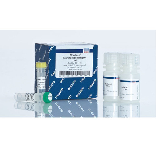 12943 Qiagen Plasmid Plus Midi Kit (25) Lab Use