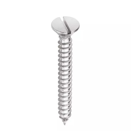 Stainless Steel Screw - Color: Silver