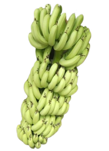green banana