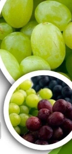 Green Grapes