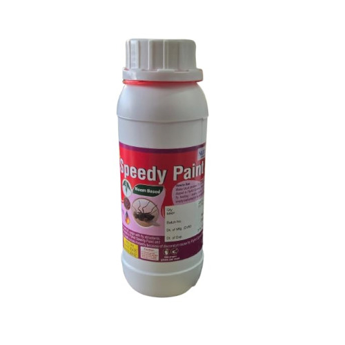 Speedy Paint