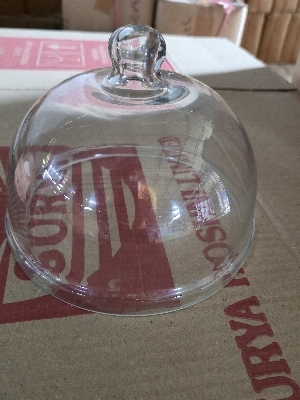 Glass Dome