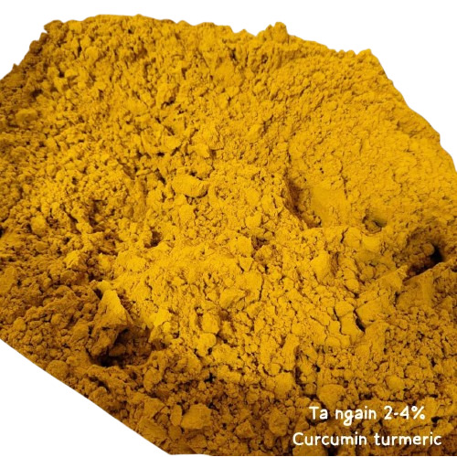 turmeric curcumin