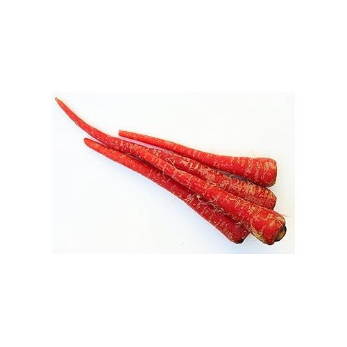 Fresh Red Carrot - Shape: Round