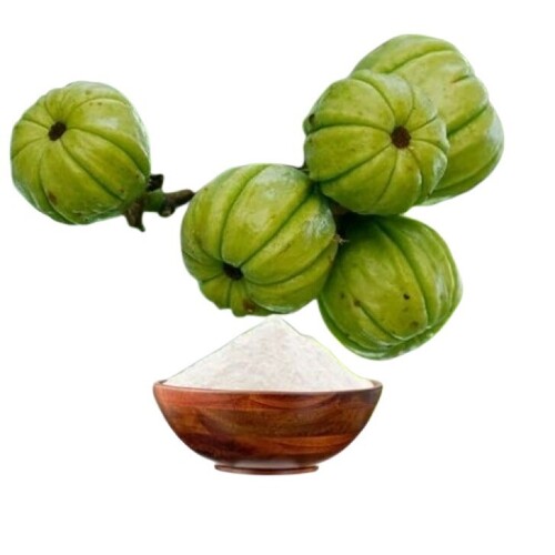 Garcinia Cambogia Extract Powder - Product Type: Herbal Product