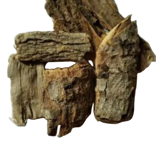 Bael Tree Bark