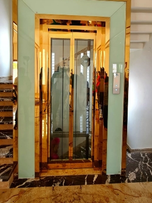Home Elevator