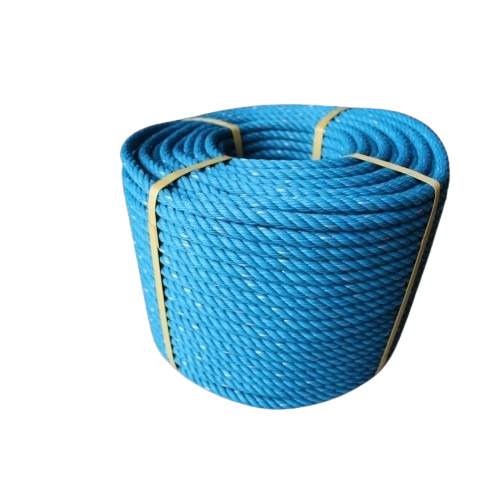Danline Rope - Color: Blue
