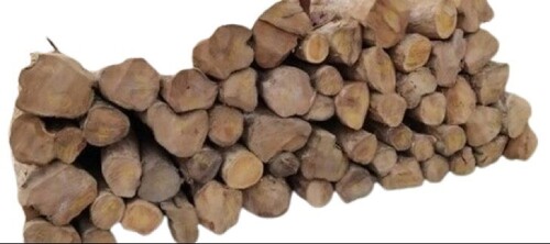 Indian Teak Wood Logs - Feature: Termite Resistance