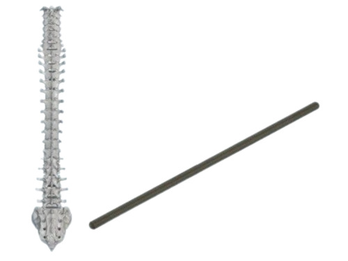 Spine Connecting Rod