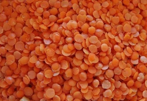 Masoor Dal - Cultivation Type: Common