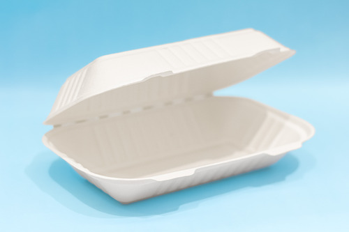 9x6 Inch Bagasse Clamshell Box (No Compartment) a Eco-Friendly Disposable Food Container