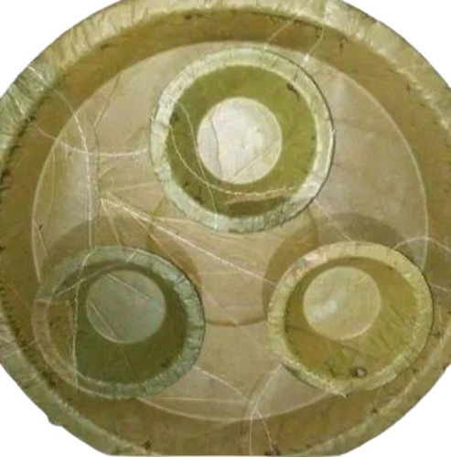Disposable Dona Paper Plate