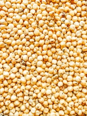Lentils Red - Cultivation Type: Organic