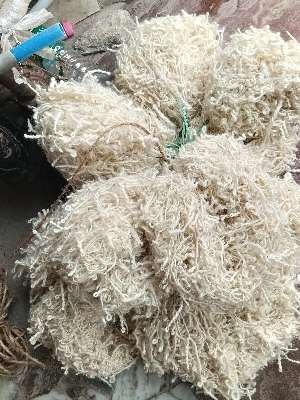 Carpet Yarn
