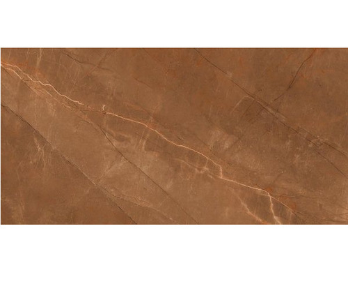 Armani Royal Brown Porcelain Tiles - Tile Finish: Gloss