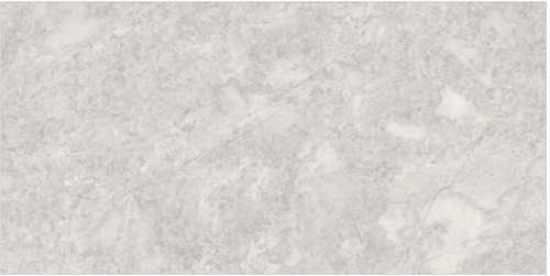 Jasto Coin Porcelain Tile - Size: 600X1200 Mm