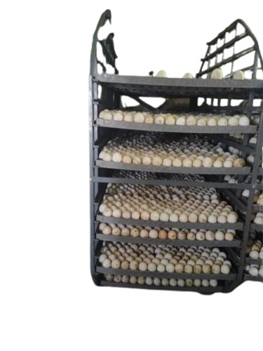 10000 Eggs Incubator - Feature: Corrosion Resistance