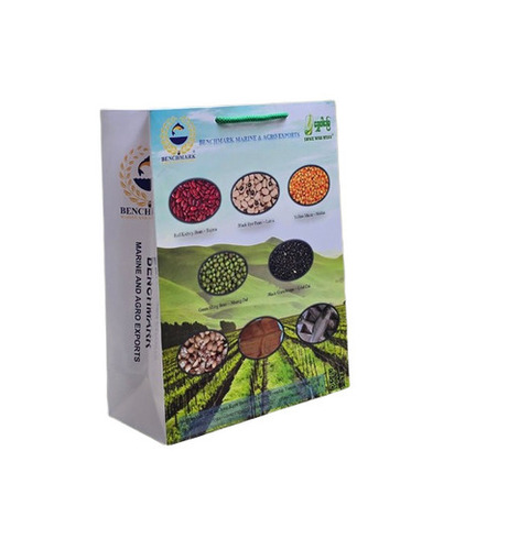 Customized Agro Printed Paper Bags