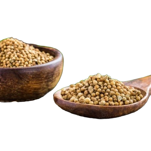 Organic Dried Coriander Seed