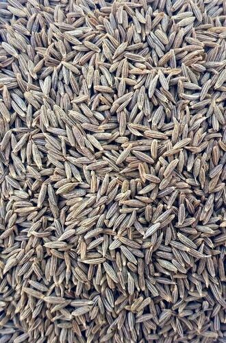 Cumin Seeds - Grade: Singapore