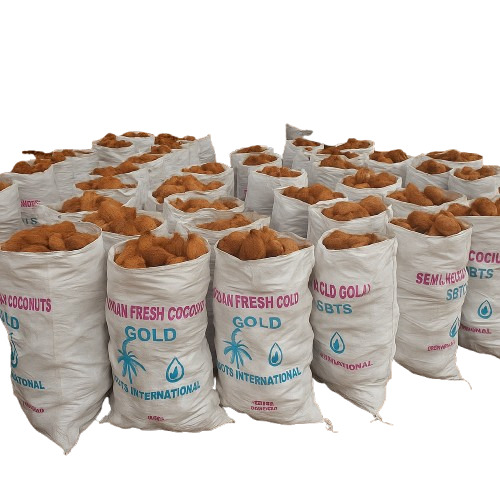 Semi Husked Coconut - Color: Brown