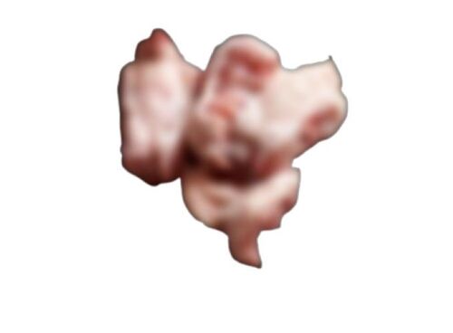 Frozen Chicken Bone - Feature: Caffeinated