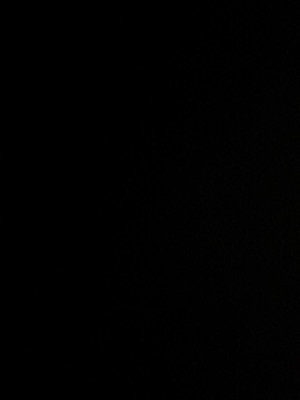 Pet Bottles - Color: Green