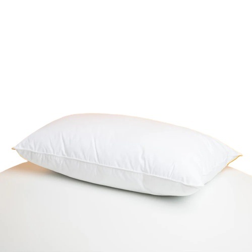 Pillow By Virsaa Exports