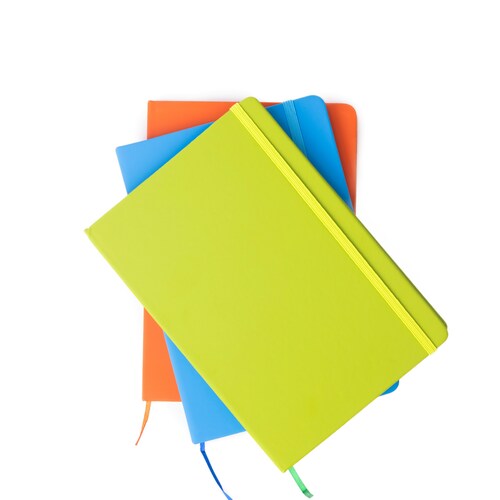 Diaries and Journals