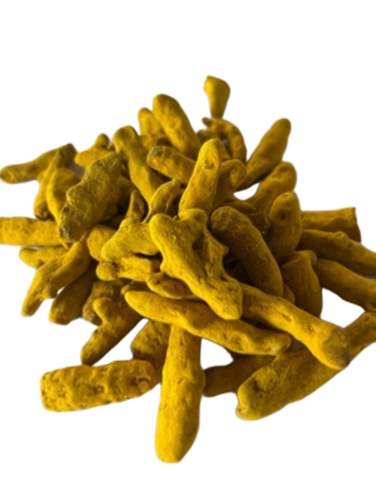 Double Polished Turmeric Finger