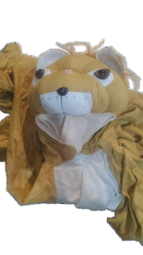 Kids Lion Costume