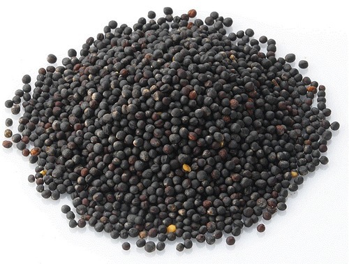 Organic Rapeseed - Cas No: Yes