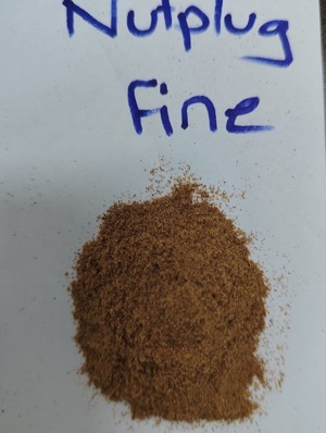 Walnut Kernel