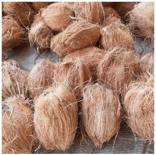 Export Quality Fresh Semi Husked Coconut