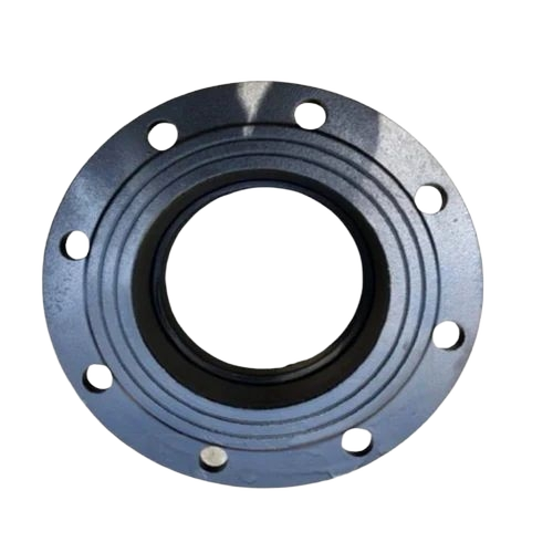 Cast Iron Flange