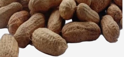 Ground Nut