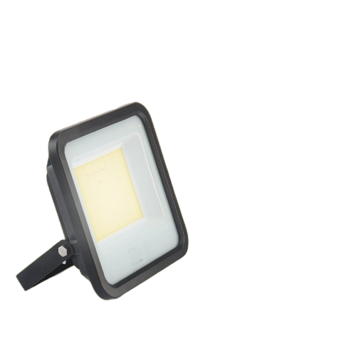 Electric LED Flood Light