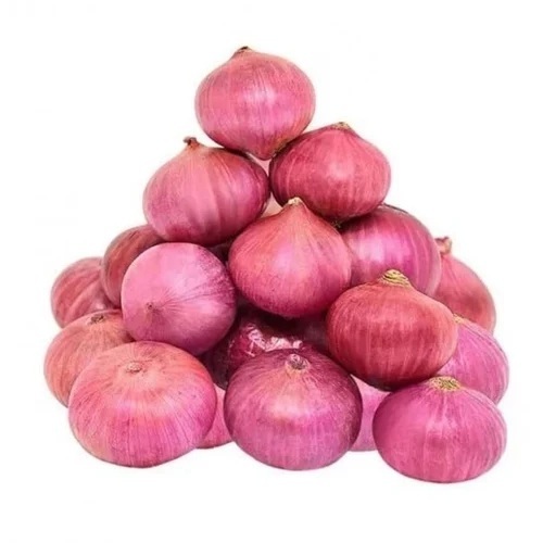 Shallots Onions