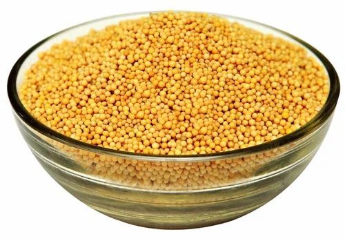 Yellow Mustard Seeds - Cultivation Type: Common