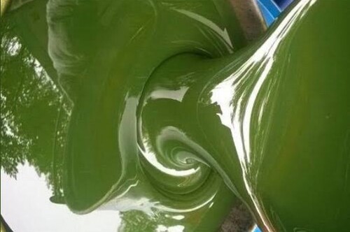 Rubber Processing Oil