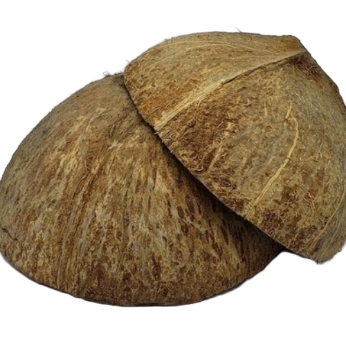 Coconut Shell Powder