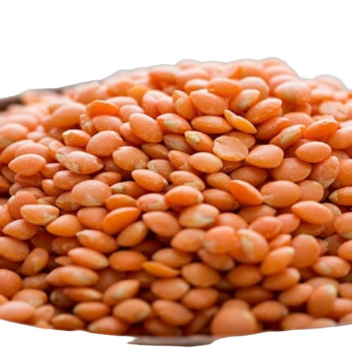 Masoor Dal