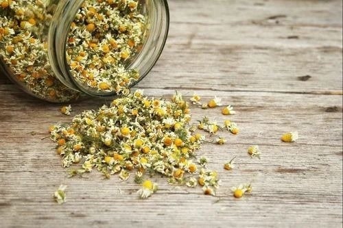 Dried Chamomile Flower - Color: Yellow