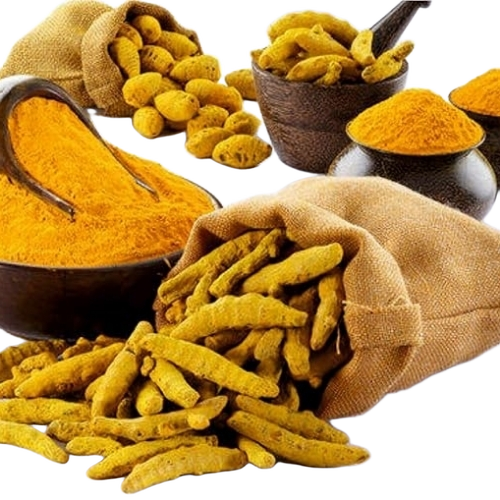 Organic Turmeric Finger