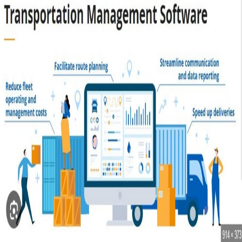 Transport Management Software - Type: Programming & Development