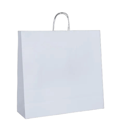 Paper Bags