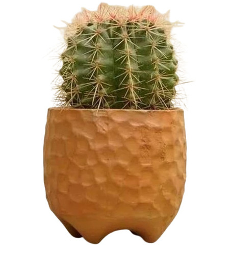 Terracotta Orange Color Pot - Capacity: 1 Kg