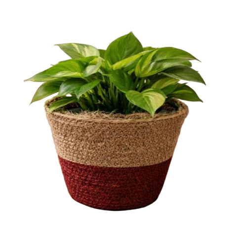 Nature Friendly Small Jute Planter - Color: Multi Color