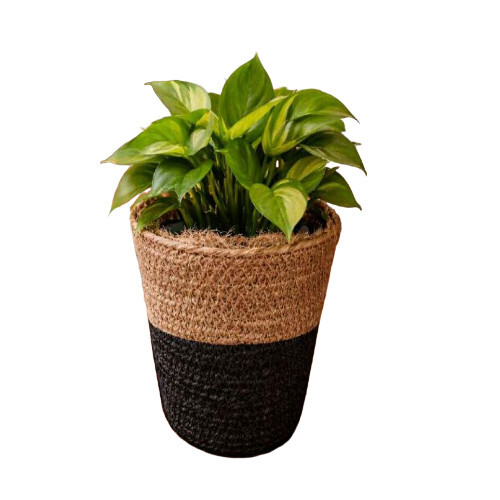 Small Round Jute Planter - Color: Multi Color